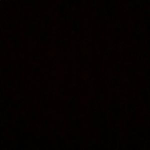 Meet your Posher, Ella